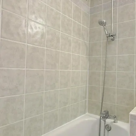 2 Pieces Sur Pistes, Balcon Sud, Animaux Admis, Wi-fi - Fr-1-455-1 Lejlighed La Plagne