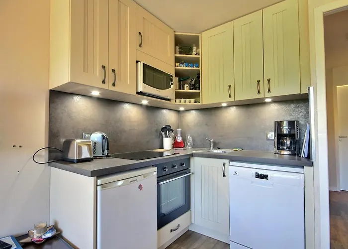 2 Pièces Sur Pistes, Balcon Sud, Animaux Admis, Wi-fi - Fr-1-455-1