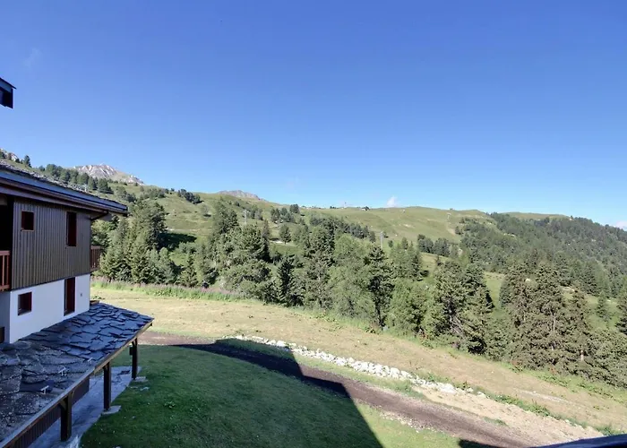 2 Pièces Sur Pistes, Balcon Sud, Animaux Admis, Wi-fi - Fr-1-455-1 * La Plagne