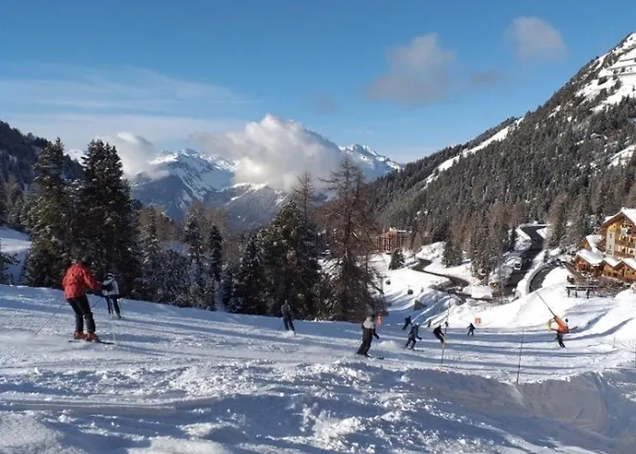 2 Pièces Sur Pistes, Balcon Sud, Animaux Admis, Wi-fi - Fr-1-455-1 * La Plagne