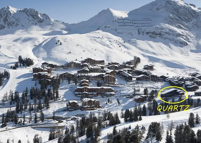 2 Pièces Sur Pistes, Balcon Sud, Animaux Admis, Wi-fi - Fr-1-455-1 La Plagne